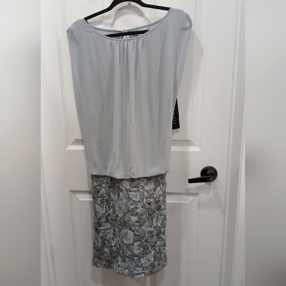 ✨ NWT sleeveless sheer & lace dress